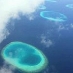 Не исключено, что на дне Марианской впадины обитает некто разумный