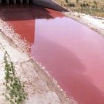Кровавое озеро в Техасе напугало верующих