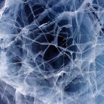 Таинственная теория «Вечного льда»