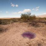 Таинственные фиолетовые сферы из аризонской пустыни