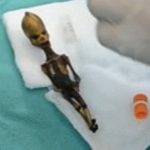В России и Южной Америке обнаружены идентичные тела инопланетян