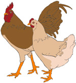 461px-Rooster_and_hen_clipart_01_svg_