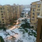 Снег в Каире предсказала египетская гадалка