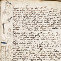 Voynich_manuscript