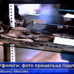 Мексиканский уфолог показал фото мумии пришельца